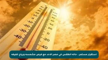 استقرار مستمر.. حالة الطقس في مصر الأحد مع فرص مشمسة ورياح خفيفة
